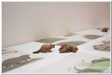 dabar-i-vlazna-stanista-2