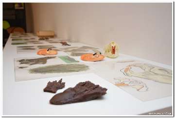 dabar-i-vlazna-stanista-1