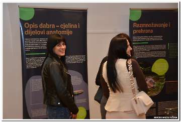 dabar-i-vlazna-stanista-4