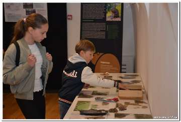 dabar-i-vlazna-stanista-6