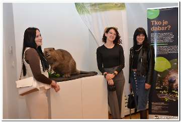 dabar-i-vlazna-stanista-7