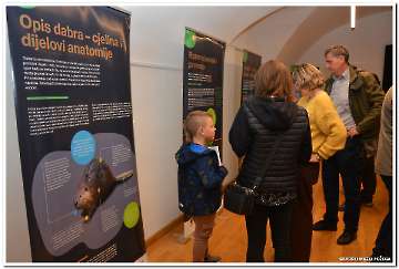 dabar-i-vlazna-stanista-19