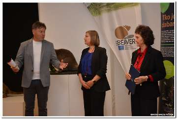 dabar-i-vlazna-stanista-18