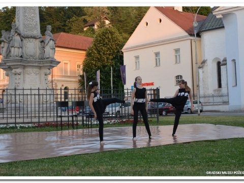 dan muzeja 2015_37