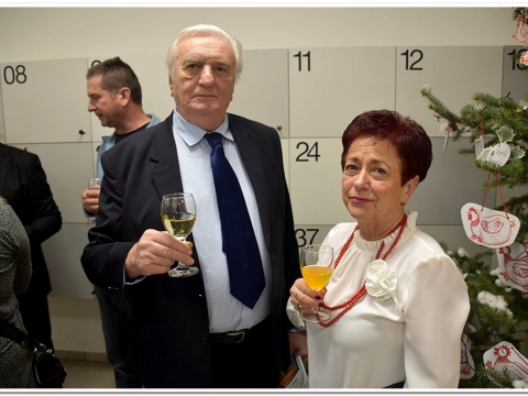 Požega u oku slikara_17