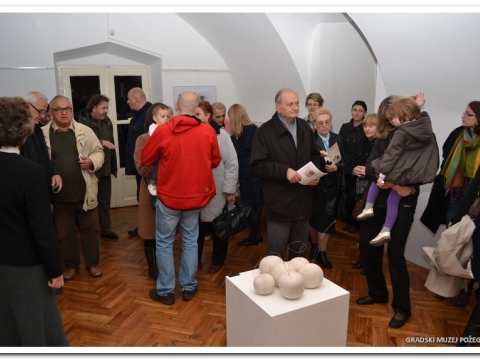 Stabla i plodovi_10