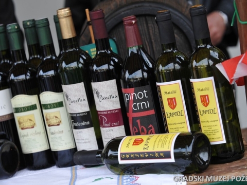 Vinogradarstvo i vinarstvo požeškog kraja_10
