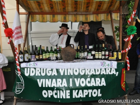 Vinogradarstvo i vinarstvo požeškog kraja_16
