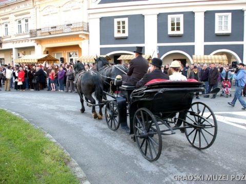 Vinogradarstvo i vinarstvo požeškog kraja_17
