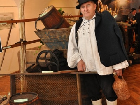 Vinogradarstvo i vinarstvo požeškog kraja_3