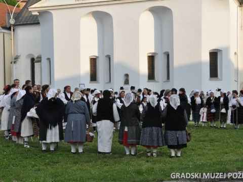 Vinogradarstvo i vinarstvo požeškog kraja_8