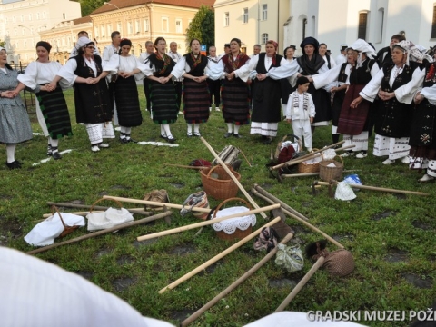 Vinogradarstvo i vinarstvo požeškog kraja_9