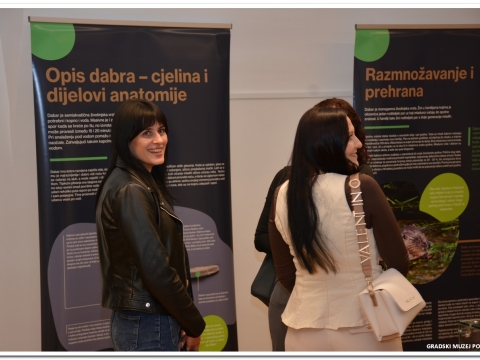Dabar i vlažna staništa-4