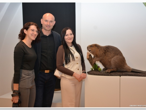 Dabar i vlažna staništa-8