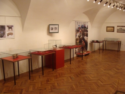 Srednjovjekovna Požega_26