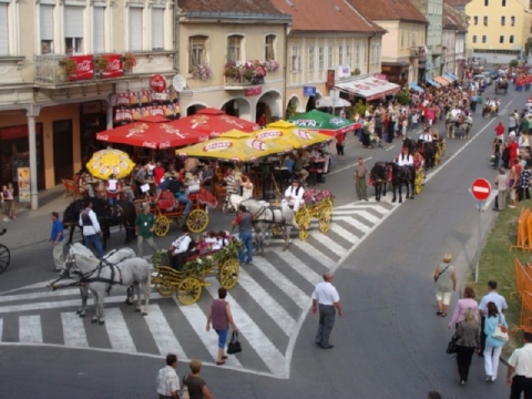 Sitnim vezom vezena, a svilenim šivena