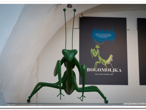 Noc muzeja_2