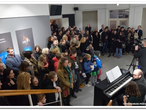 zvukovi kukaca_7