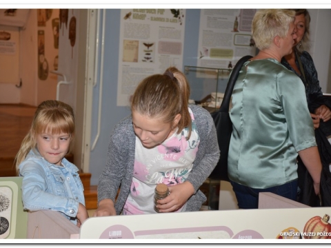 Bertouchovo slikovno carstvo_13
