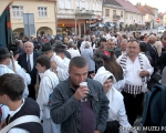 Vinogradarstvo i vinarstvo požeškog kraja krajem 19. i početkom 20. stoljeća