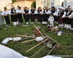 Vinogradarstvo i vinarstvo požeškog kraja krajem 19. i početkom 20. stoljeća