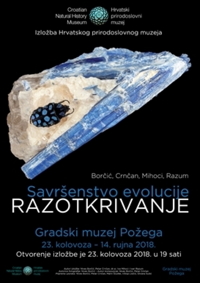 Izložba: Savršenstvo evolucije - RAZOTKRIVANJE