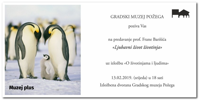 Muzej plus - "Ljubavni život životinja"